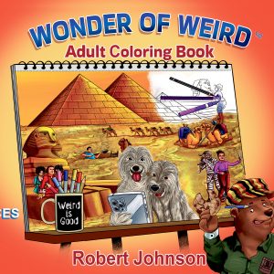 Places Adult Coloring Book